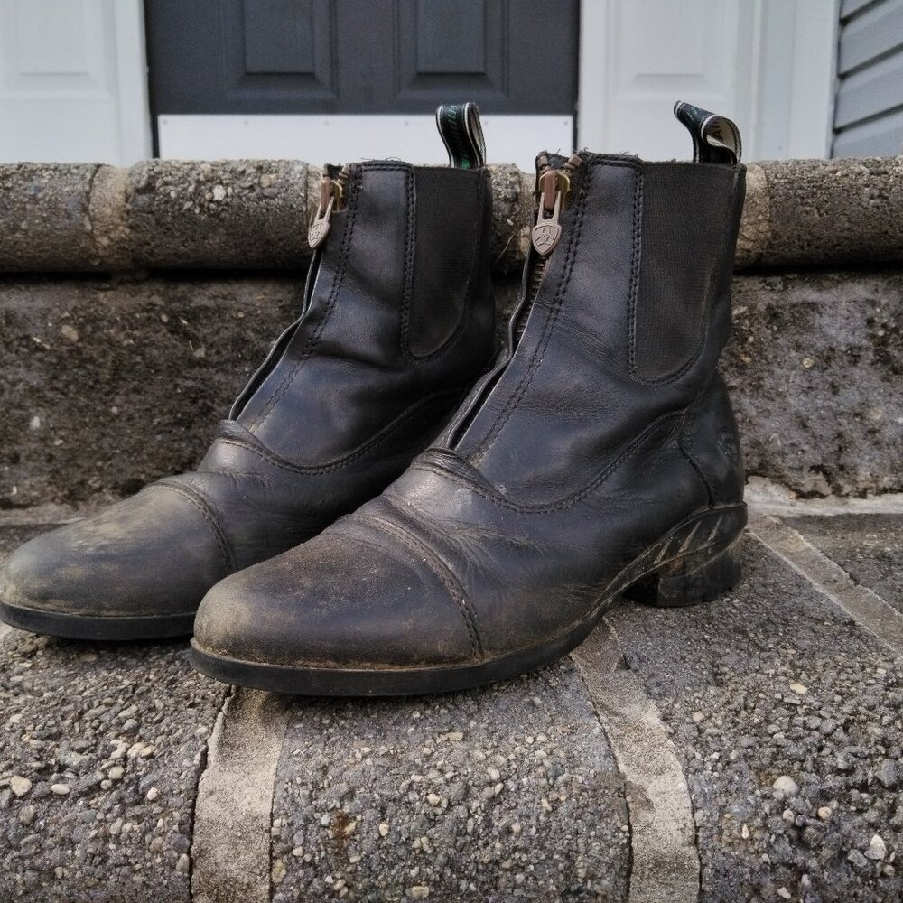 Ariat women's paddock boots